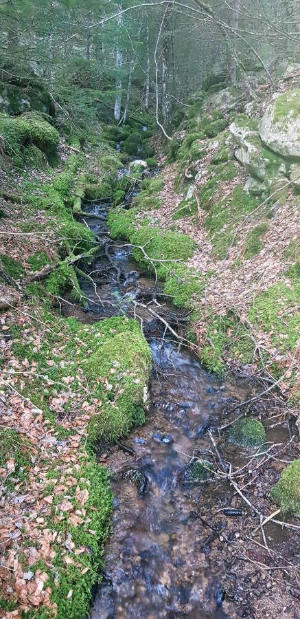 BoussouletChez Nave Au Pied Du Meygal公寓 外观 照片